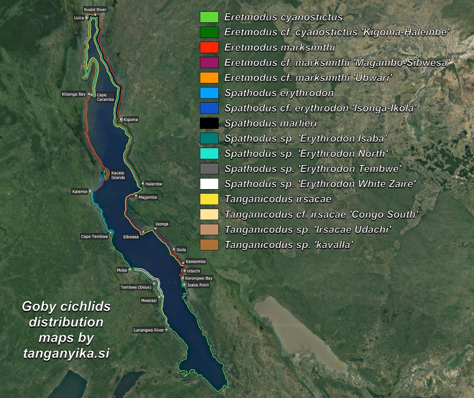 Goby cichlids distribution maps by tanganyika.si