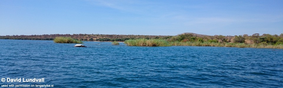 Cape Kabwe Ngosye, Lake Tanganyika, Zambia