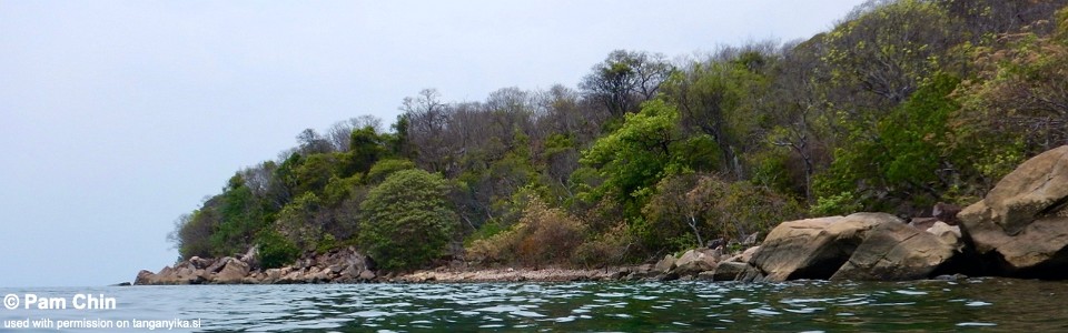 Cape Nambeyeye (Kabayeye), Lake Tanganyika, Zambia