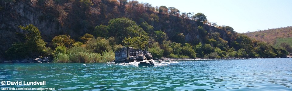 Chimba, Lake Tanganyika, Zambia
