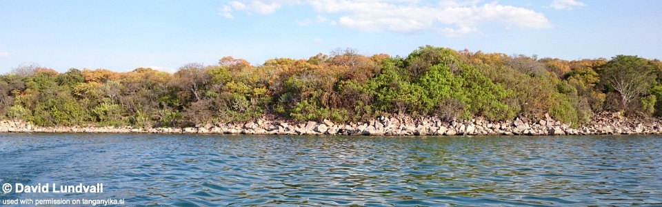 Ilangi, Lake Tanganyika, Zambia