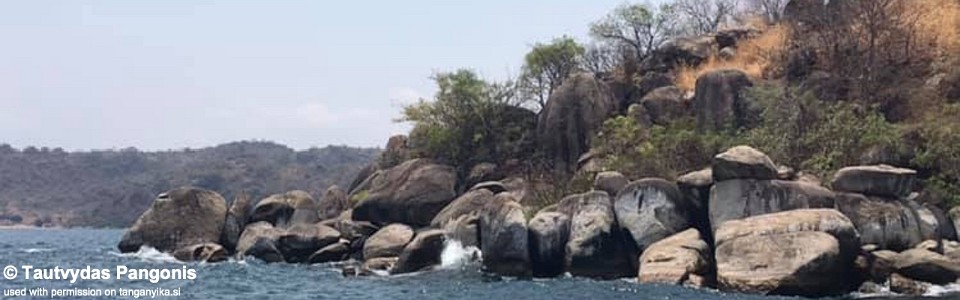 Katondo Point, Cape Mpimbwe, Lake Tanganyika, Tanzania