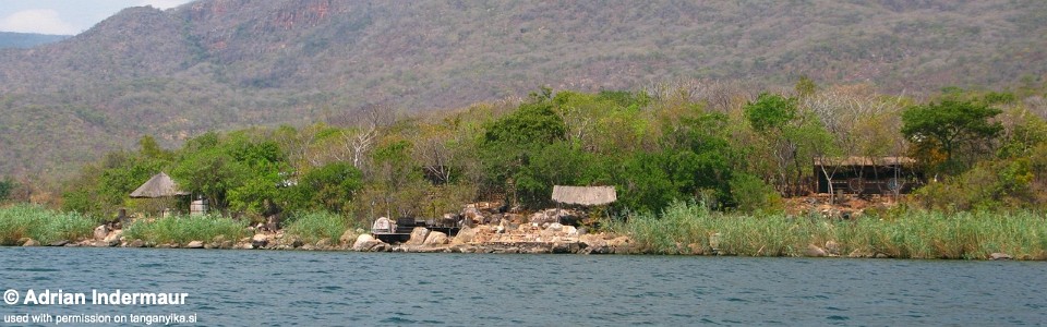 Katoto, Lake Tanganyika, Zambia