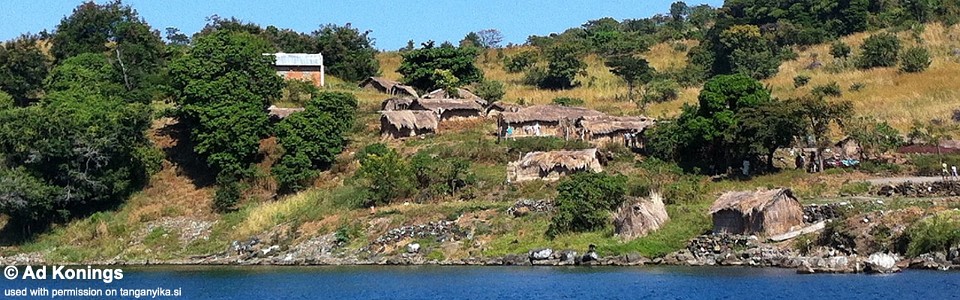Kibige Island, Lake Tanganyika, DR Congo