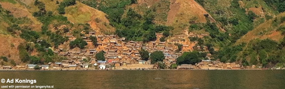 Kiliza, Lake Tanganyika, DR Congo