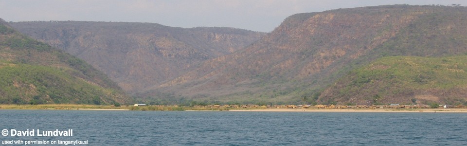 Kipwa, Lake Tanganyika, Tanzania/Zambia