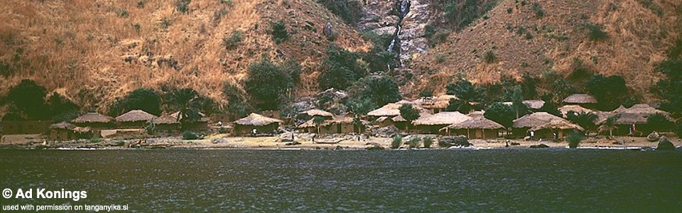 Kitumba, Lake Tanganyika, DR Congo