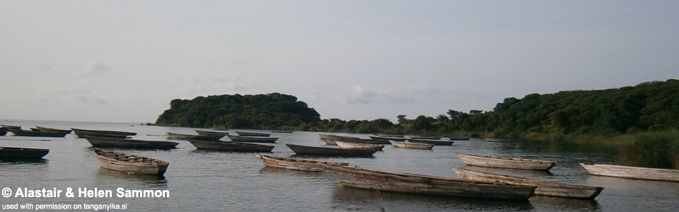 Kitwe Point, Lake Tanganyika, Tanzania
