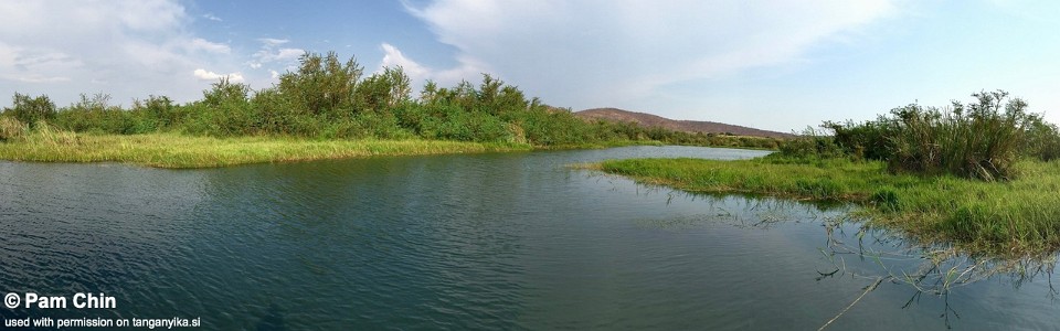 Luafwe (Luamvi) River, Lake Tanganyika, Tanzania