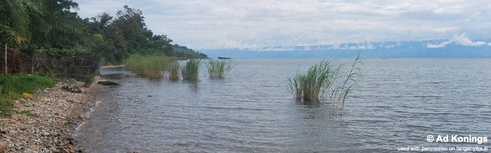 Makombe, Lake Tanganyika, Burundi