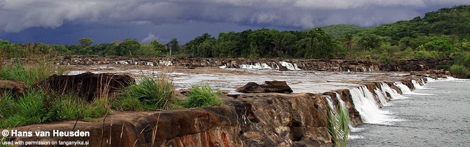 Malagarasi River, Lake Tanganyika, Tanzania
