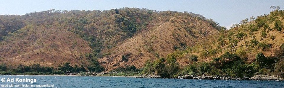 Mkangazi, Lake Tanganyika, Tanzania