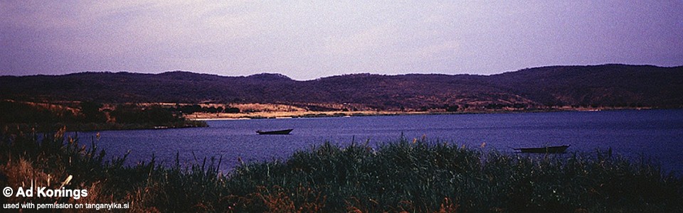 Moliro, Lake Tanganyika, DR Congo