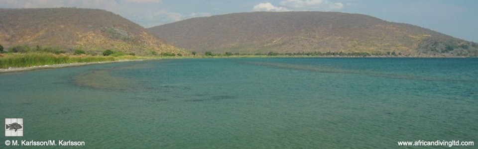Mongwe, Mtipa Bay, Lake Tanganyika, Tanzania