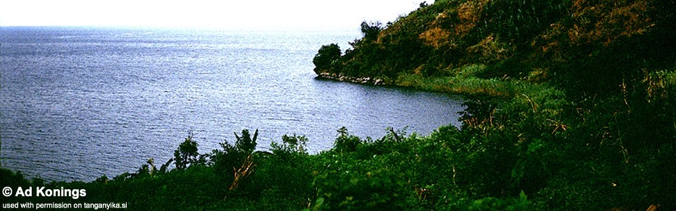 Mucansi, Lake Tanganyika, Burundi