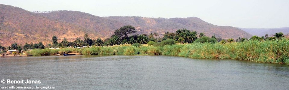 Muzi, Lake Tanganyika, Tanzania