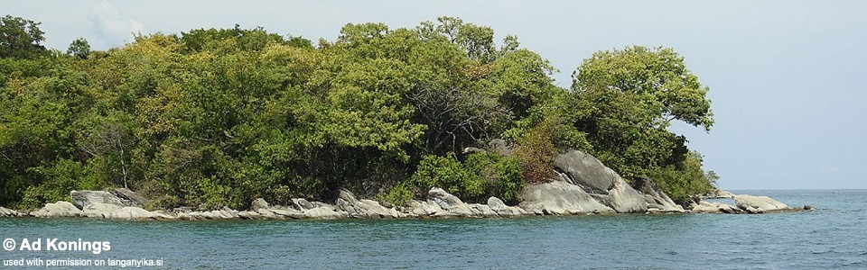 Pasagulu Point, Lake Tanganyika, Tanzania