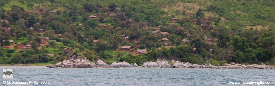 Segunga, Lake Tanganyika, Tanzania
