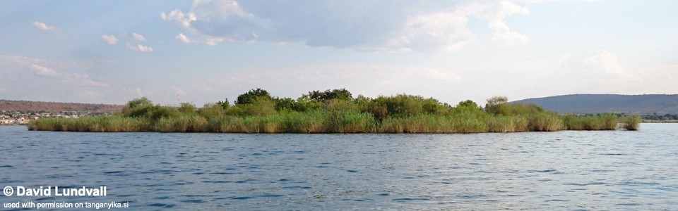 Sumbu Island, Lake Tanganyika, Zambia