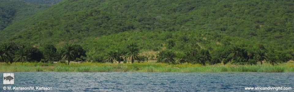 Tundu, Lake Tanganyika, Tanzania
