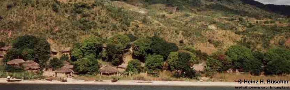 Zongwe, Lake Tanganyika, DR Congo