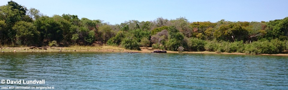 Linangu Point, Lake Tanganyika, Zambia