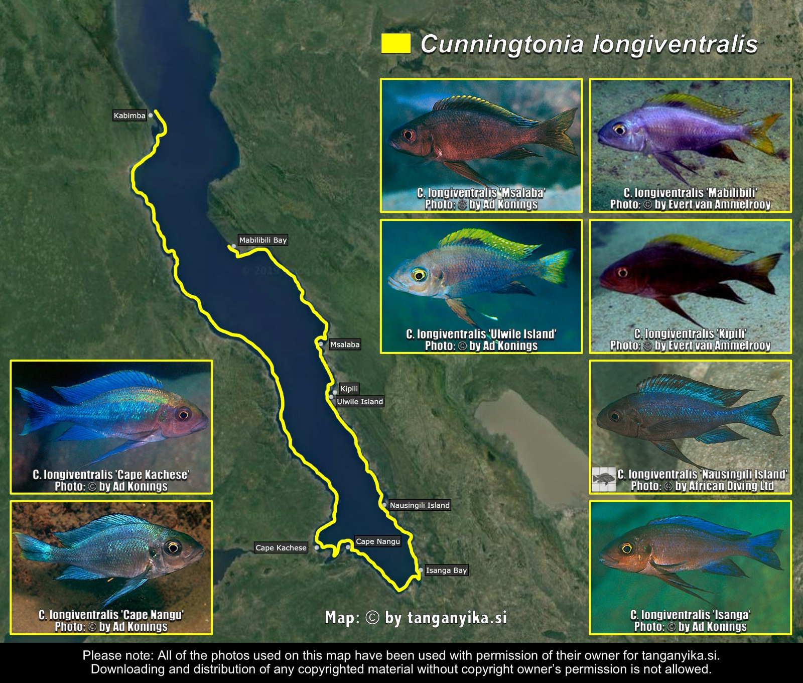 Cunningtonia longiventralis distribution map