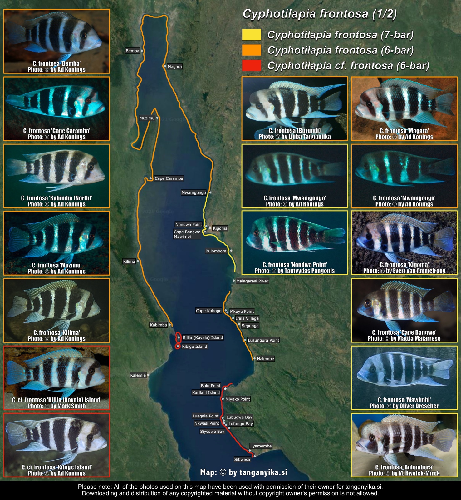 Cyphotilapia frontosa (1/2) distribution map