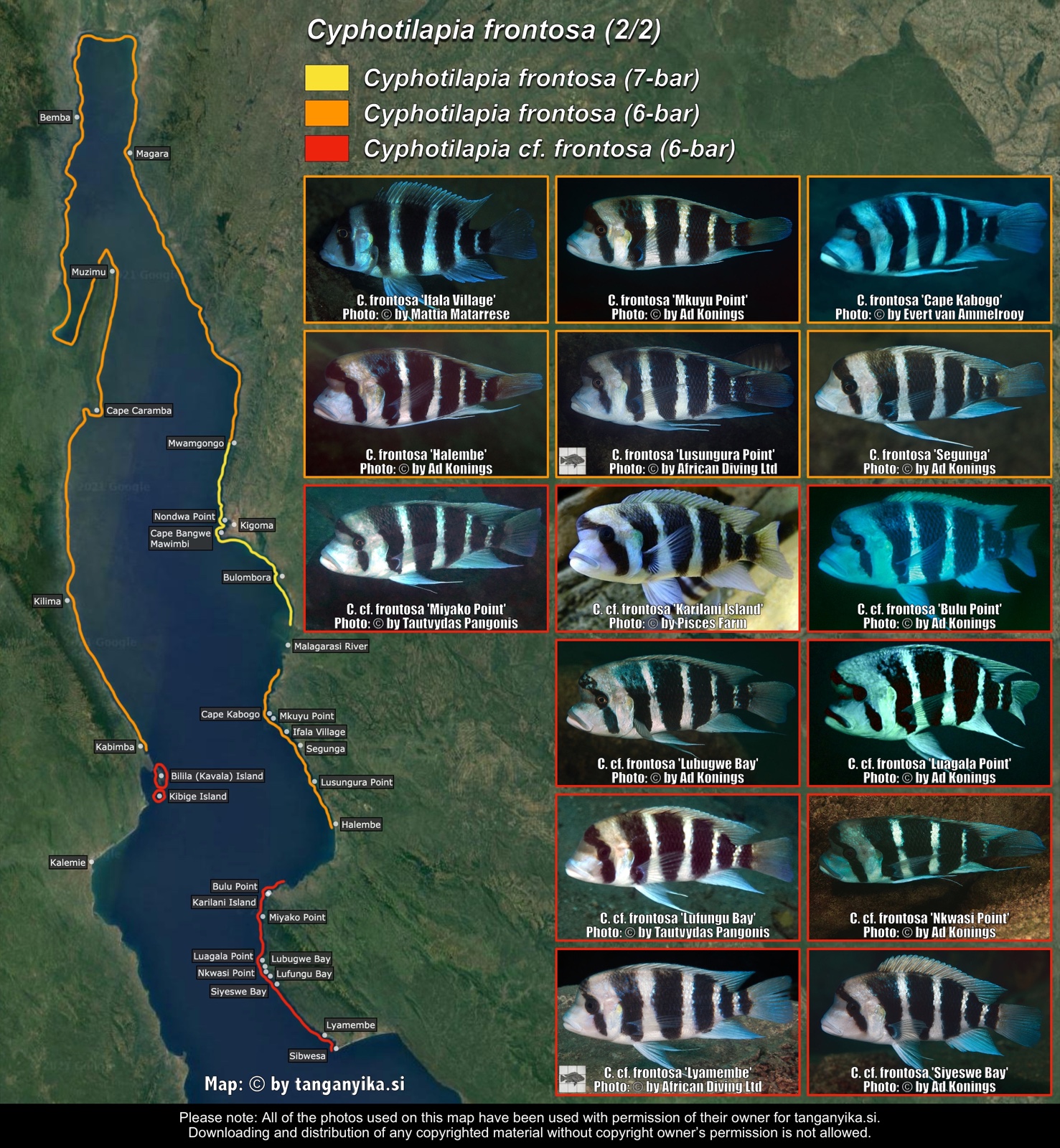 Cyphotilapia frontosa (2/2) distribution map