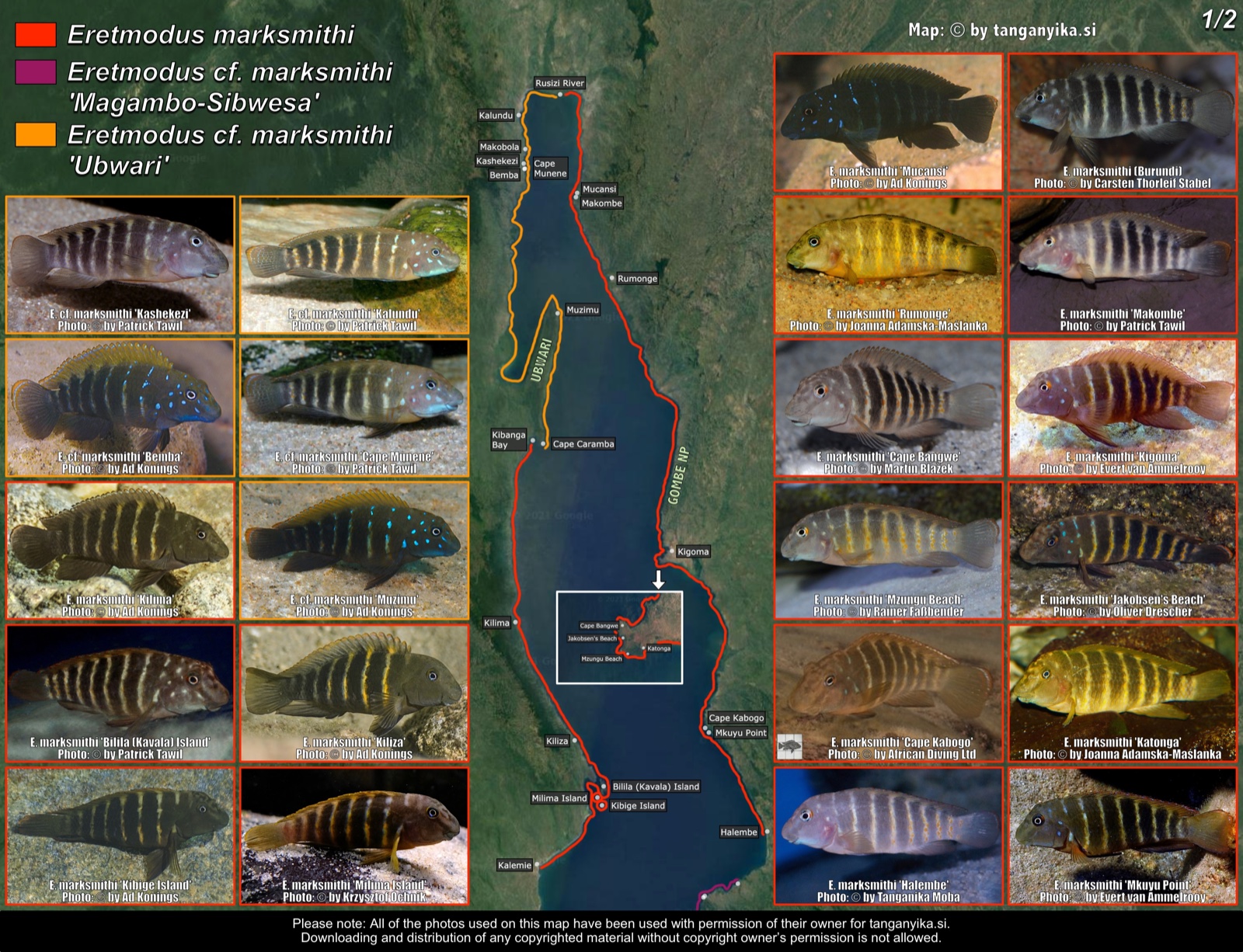 Eretmodus marksmithi (1/2) distribution map