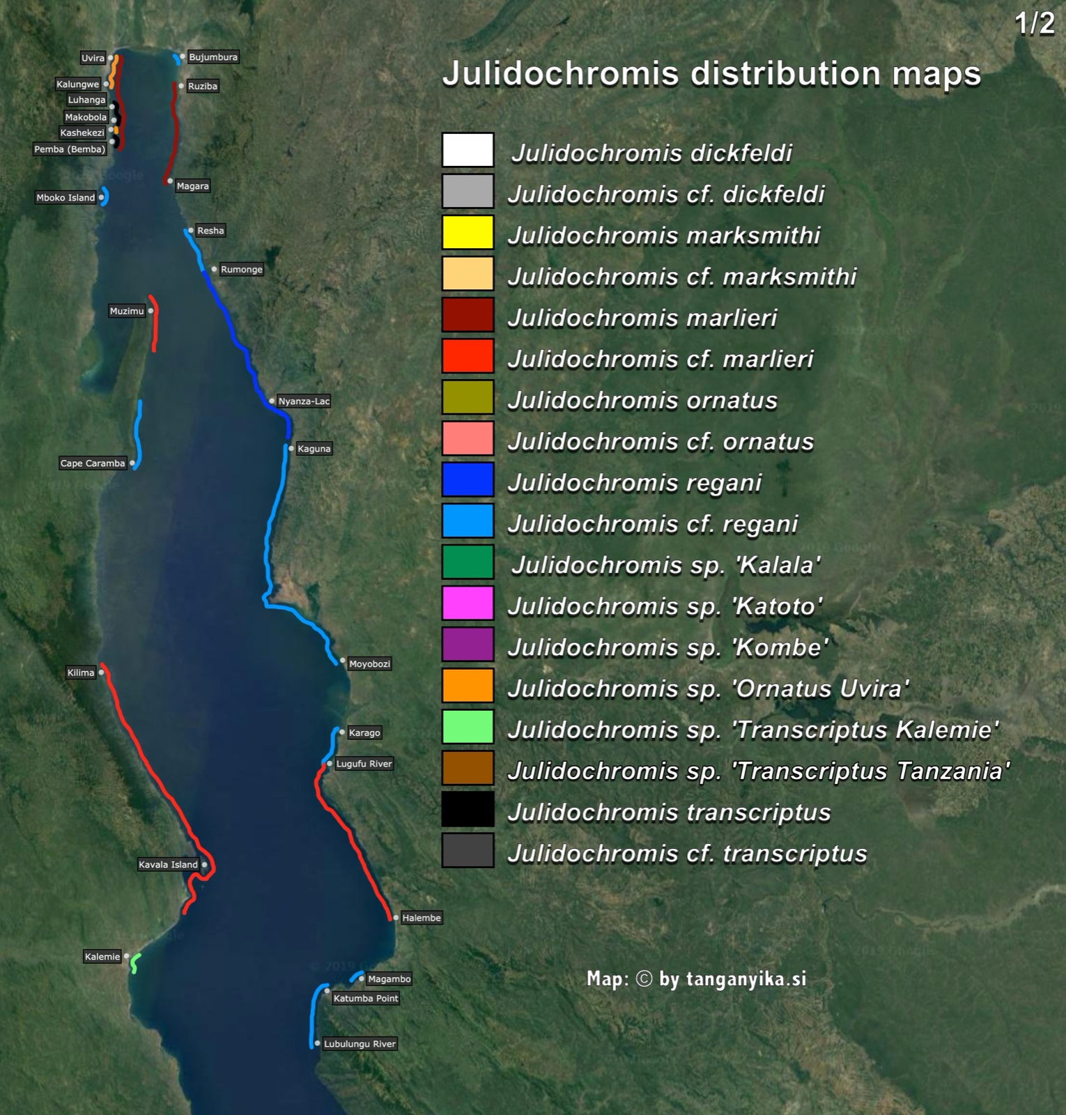 Julidochromis (1/2) distribution map