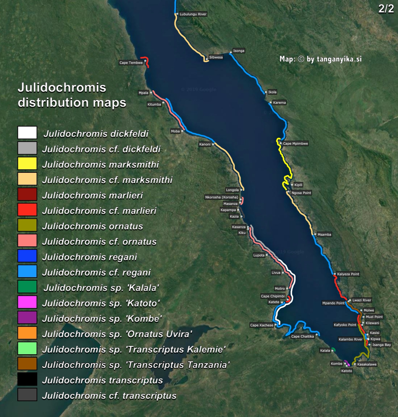 Julidochromis (2/2) distribution map