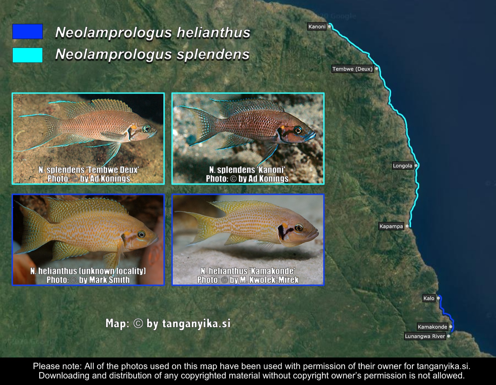 Neolamprologus helianthus & Neolamprologus splendens distribution map