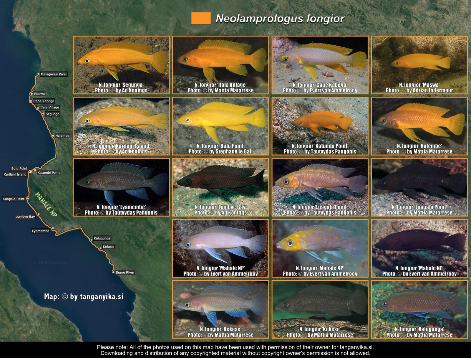 Neolamprologus longior distribution map