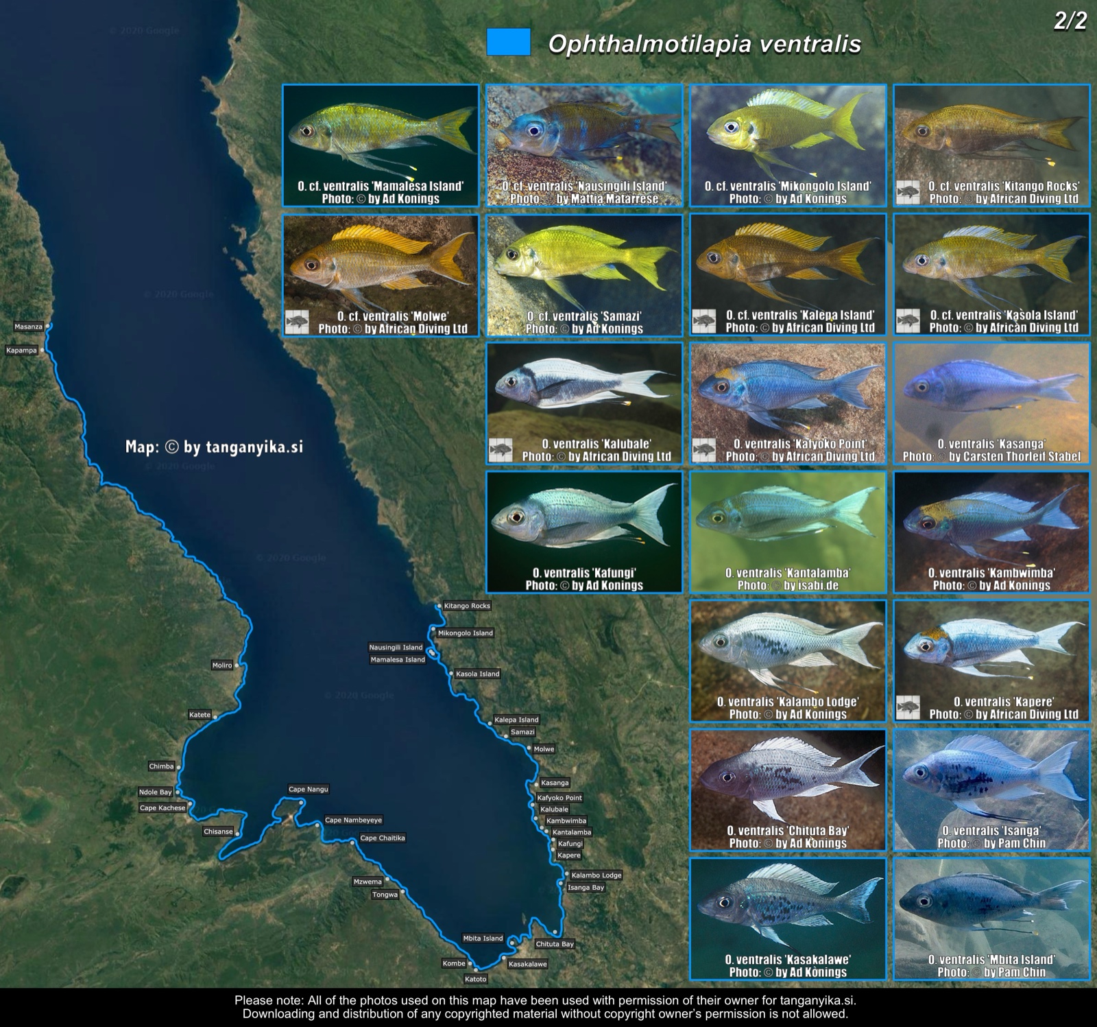 Ophthalmotilapia ventralis (2/2) distribution map