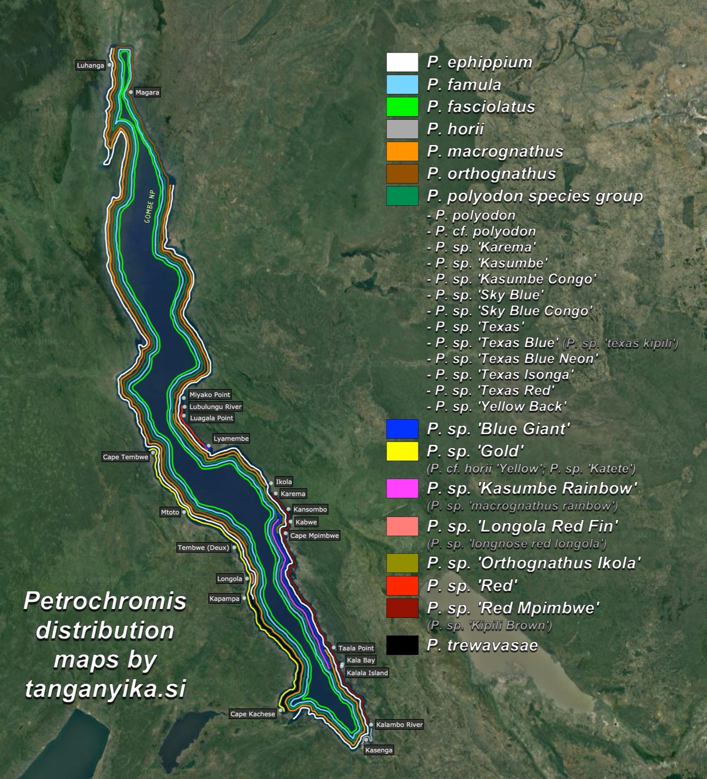 Petrochromis distribution map by tanganyika.si distribution map