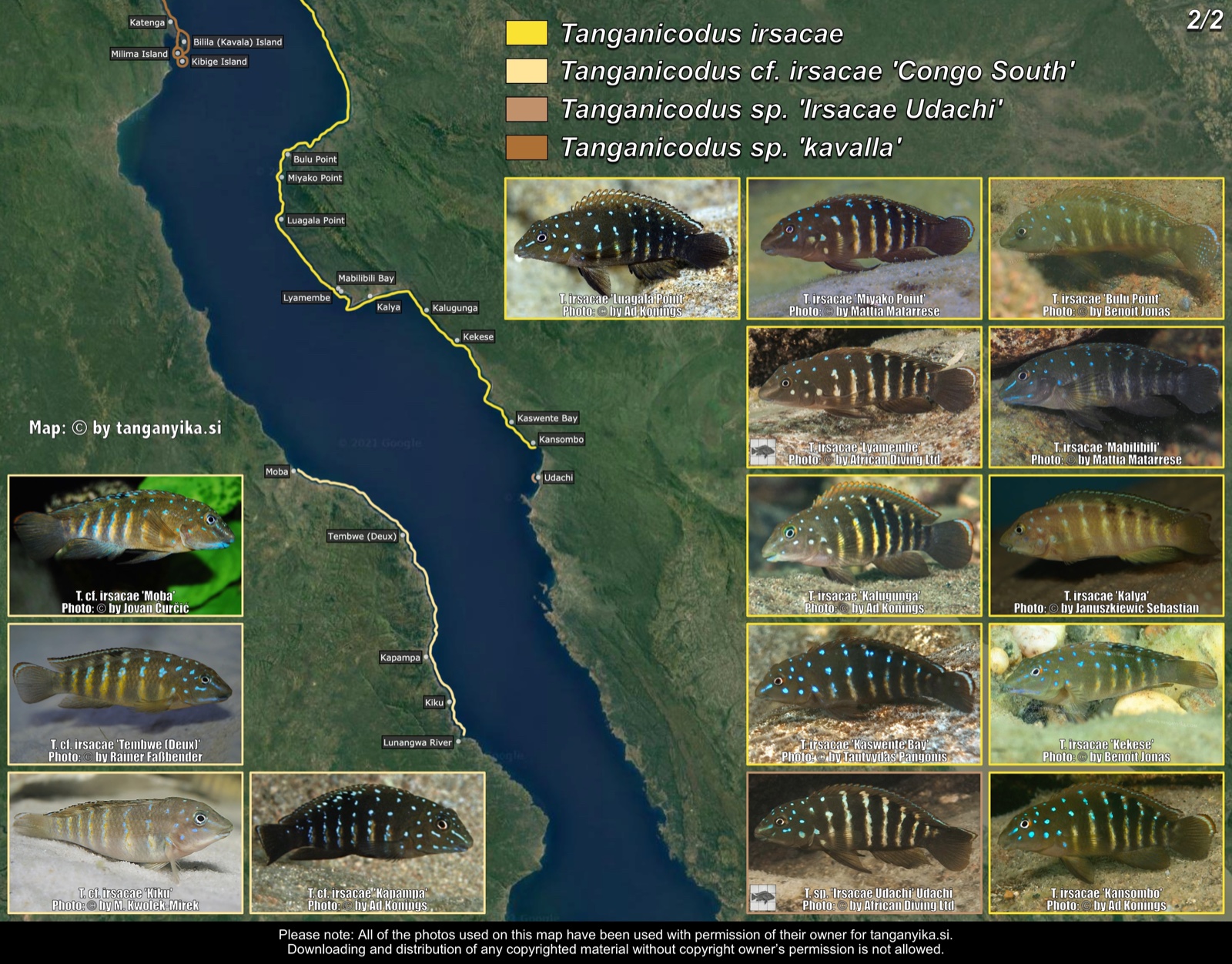 Tanganicodus (2/2) distribution map