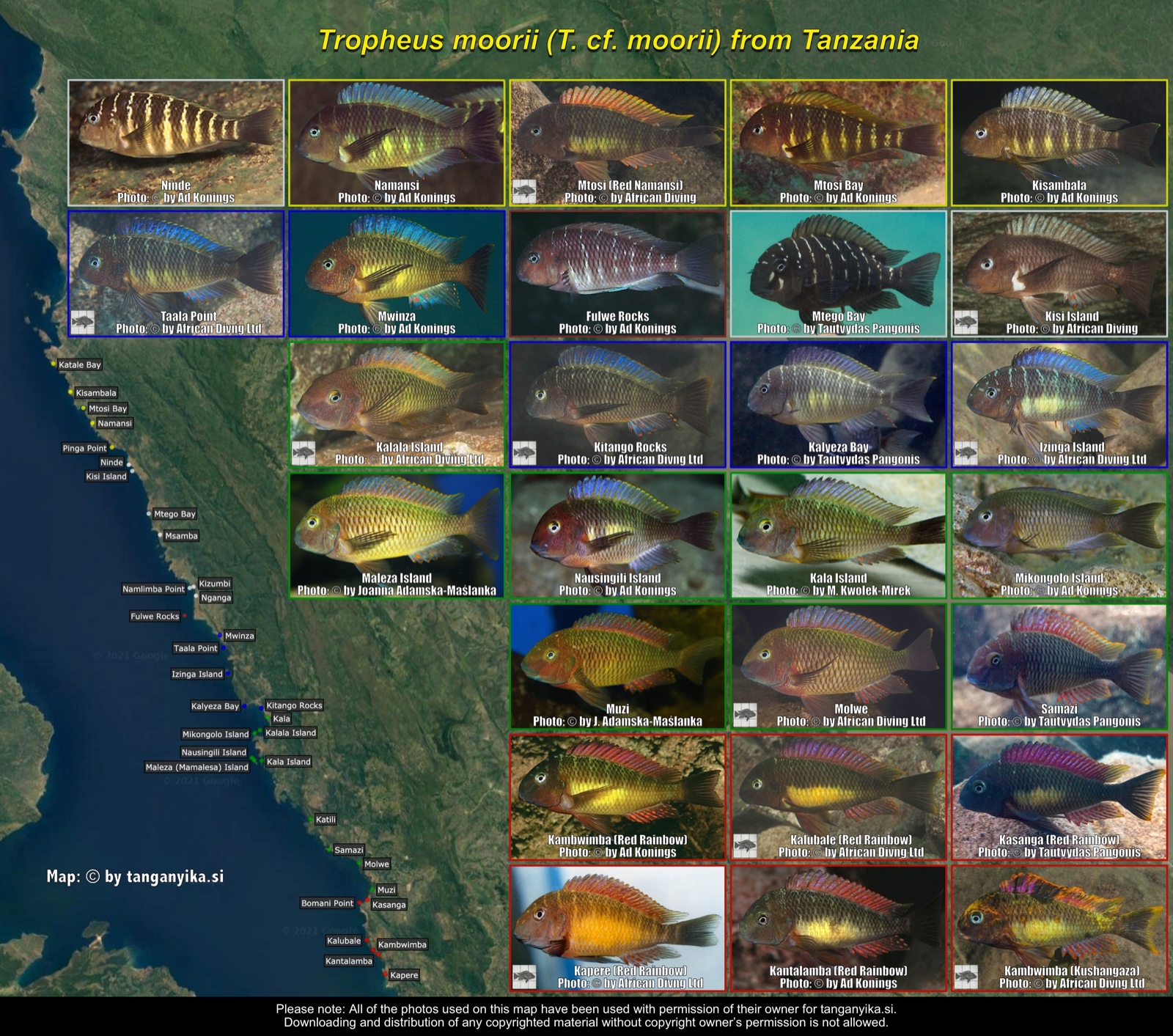 Tropheus moorii (T. cf. moorii) from Tanzania distribution map