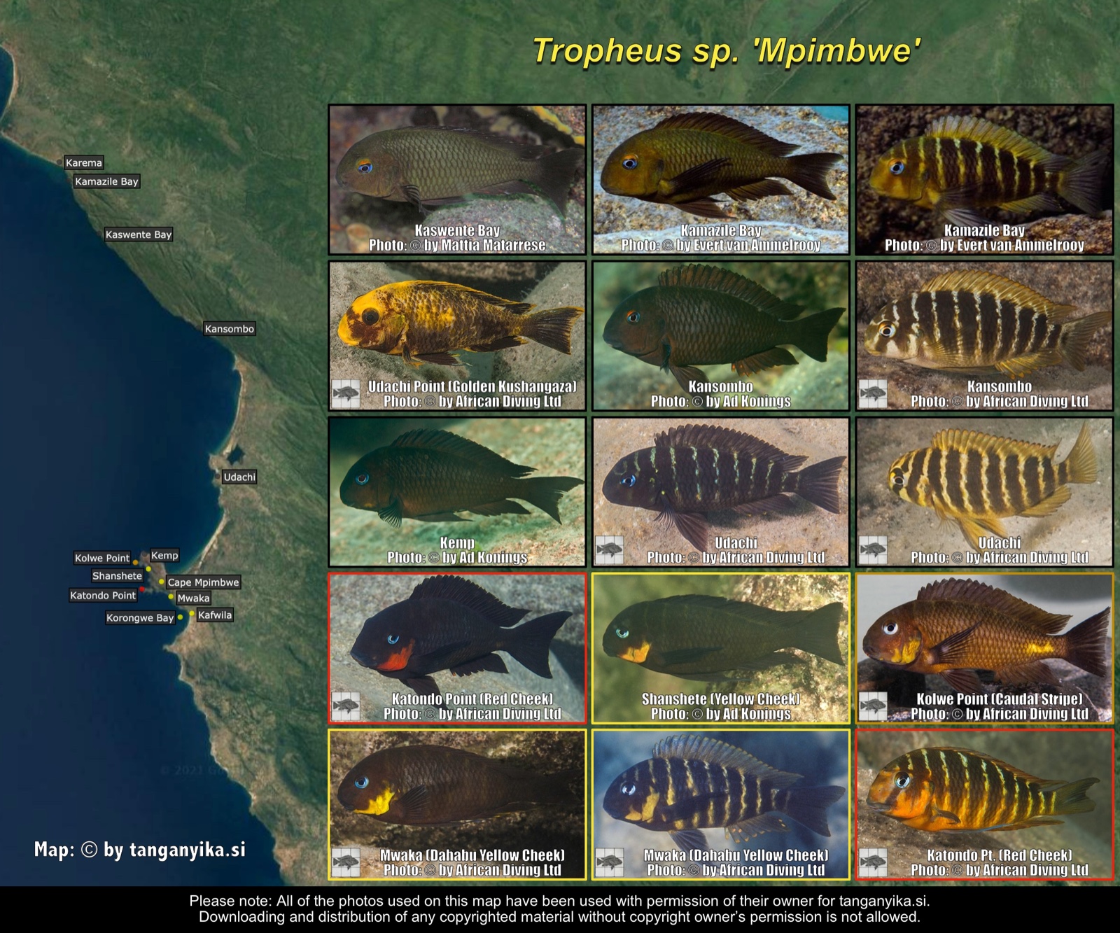 Tropheus sp. 'mpimbwe' distribution map