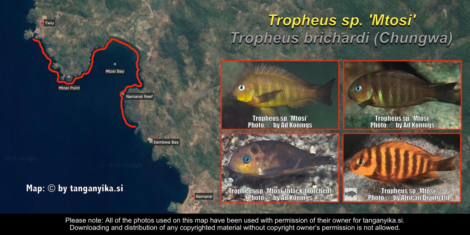 Tropheus sp. 'mtosi' distribution map