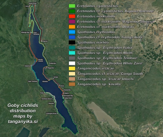 Goby cichlids distribution maps by tanganyika.si distribution map
