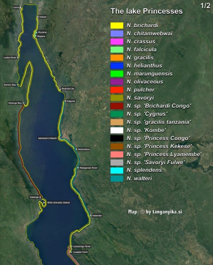 The lake Princesses (1/2) distribution map