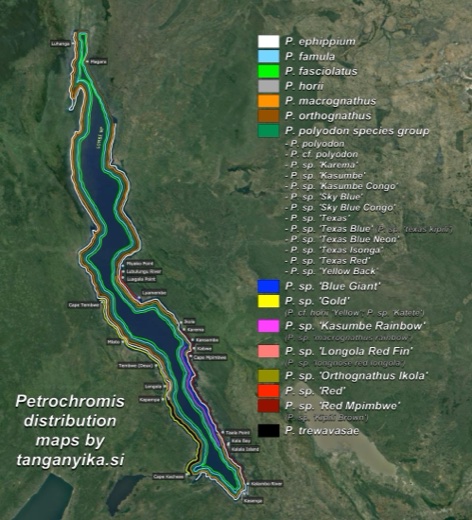 Petrochromis distribution map by tanganyika.si distribution map