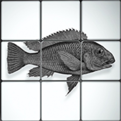 African Diving Ltd