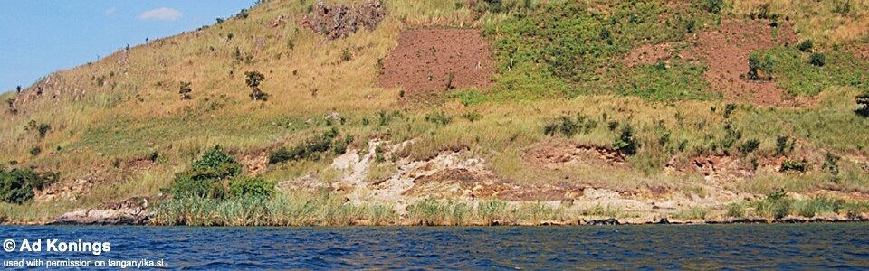 Bemba (Pemba), Lake Tanganyika, DR Congo