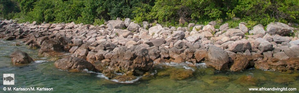 Ifala, Lake Tanganyika, Tanzania