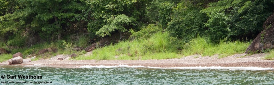 Kagongo, Lake Tanganyika, Tanzania