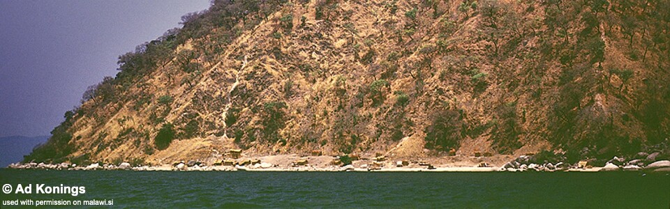 Kapampa, Lake Tanganyika, DR Congo