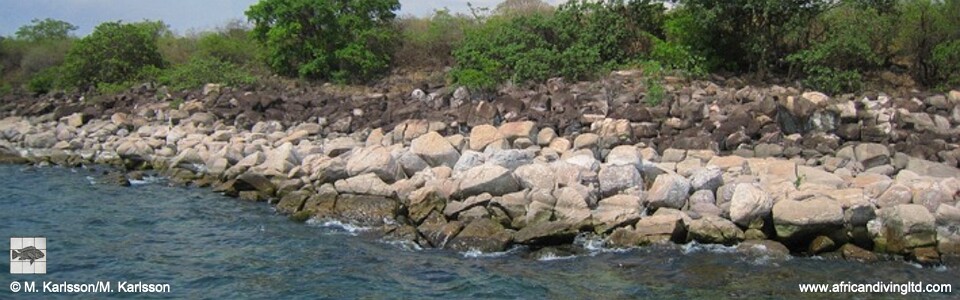 Kapere, Lake Tanganyika, Tanzania
