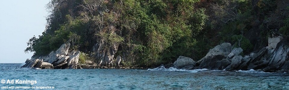 Kasongola, Lake Tanganyika, Tanzania